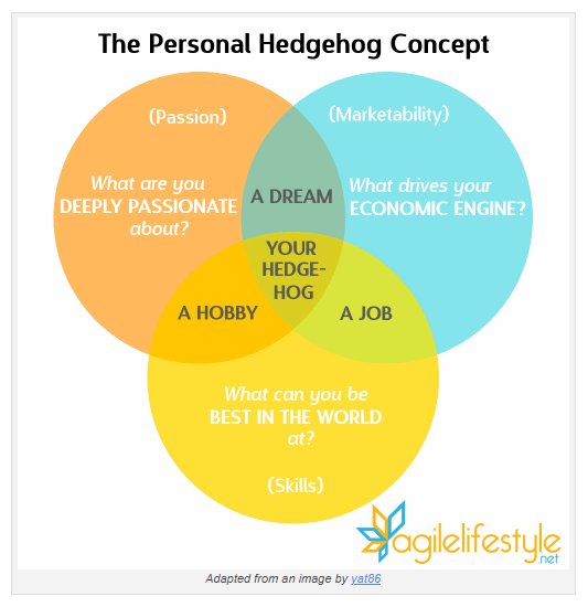 Creating a Personal Hedgehog Concept